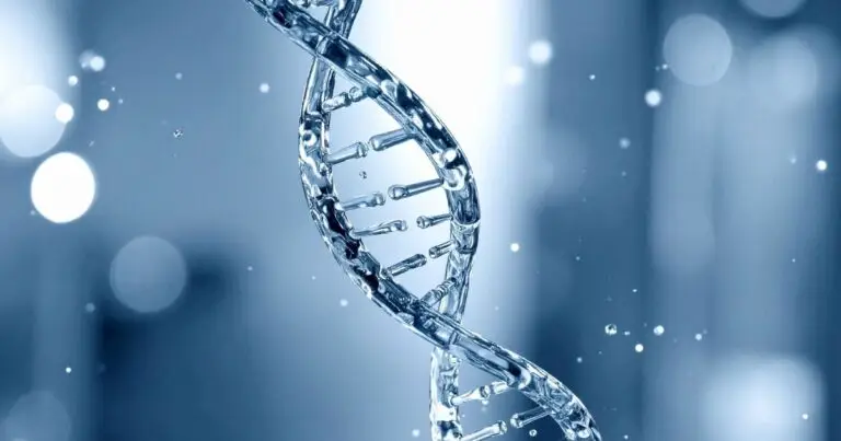 Más allá del ADN: Por qué tu genética redefine el impacto de lo que comes en el riesgo de demencia